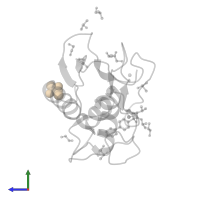 (2S,3S)-butane-2,3-diol in PDB entry 4xct, assembly 1, side view.