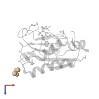 (2S,3S)-butane-2,3-diol in PDB entry 4xct, assembly 1, top view.