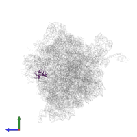 Large ribosomal subunit protein uL13 in PDB entry 4xej, assembly 1, side view.