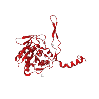 The deposited structure of PDB entry 4xep contains 1 copy of CATH domain 3.40.1210.10 (Stationary-phase Survival Protein Sure Homolog; Chain: A,) in 5'/3'-nucleotidase SurE. Showing 1 copy in chain A.