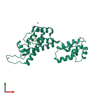 PDB entry 4xfz coloured by chain, front view.
