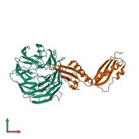 PDB entry 4xga coloured by chain, front view.