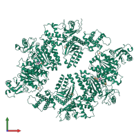 Homo hexameric assembly 1 of PDB entry 4xgu coloured by chemically distinct molecules, front view.