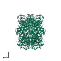 Homo dodecameric assembly 2 of PDB entry 4xgu coloured by chemically distinct molecules, side view.