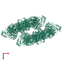 Homo dodecameric assembly 2 of PDB entry 4xgu coloured by chemically distinct molecules, top view.