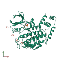 PDB entry 4xh0 coloured by chain, front view.