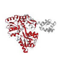 The deposited structure of PDB entry 4xhs contains 2 copies of Pfam domain PF01547 (Bacterial extracellular solute-binding protein) in Maltose/maltodextrin-binding periplasmic protein. Showing 1 copy in chain B.