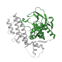 The deposited structure of PDB entry 4xhu contains 2 copies of Pfam domain PF00644 (Poly(ADP-ribose) polymerase catalytic domain) in Poly [ADP-ribose] polymerase 1, processed C-terminus. Showing 1 copy in chain C [auth A].