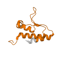 The deposited structure of PDB entry 4xhu contains 2 copies of Pfam domain PF05029 (Timeless PAB domain) in Protein timeless homolog. Showing 1 copy in chain D [auth B].