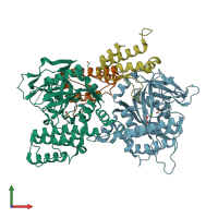 PDB entry 4xhu coloured by chain, front view.