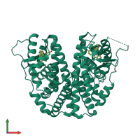 Homo dimeric assembly 2 of PDB entry 4xi3 coloured by chemically distinct molecules, front view.