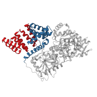 The deposited structure of PDB entry 4xi9 contains 8 copies of CATH domain 1.25.40.10 (Serine Threonine Protein Phosphatase 5, Tetratricopeptide repeat) in UDP-N-acetylglucosamine--peptide N-acetylglucosaminyltransferase 110 kDa subunit. Showing 2 copies in chain A.