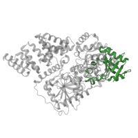 The deposited structure of PDB entry 4xi9 contains 4 copies of CATH domain 3.30.720.150 (Signal recognition particle alu RNA binding heterodimer, srp9/1) in UDP-N-acetylglucosamine--peptide N-acetylglucosaminyltransferase 110 kDa subunit. Showing 1 copy in chain A.
