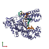 PDB entry 4xiu coloured by chain, front view.
