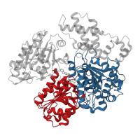 The deposited structure of PDB entry 4xjx contains 4 copies of CATH domain 3.40.50.300 (Rossmann fold) in Type I restriction enzyme EcoR124I/EcoR124II endonuclease subunit. Showing 2 copies in chain B.