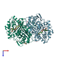 PDB entry 4xl4 coloured by chain, top view.