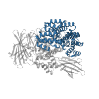 The deposited structure of PDB entry 4xna contains 1 copy of CATH domain 1.25.50.10 (Zincin-like fold) in Aminopeptidase N. Showing 1 copy in chain A.