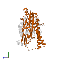 Anillin in PDB entry 4xoi, assembly 1, side view.