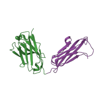 The deposited structure of PDB entry 4xp1 contains 2 copies of CATH domain 2.60.40.10 (Immunoglobulin-like) in antibody fragment heavy chain. Showing 2 copies in chain C [auth H].