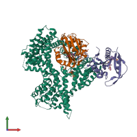 PDB entry 4xpd coloured by chain, front view.