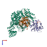 PDB entry 4xpd coloured by chain, top view.