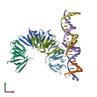 PDB entry 4xqq coloured by chain, front view.
