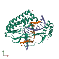 PDB entry 4xr2 coloured by chain, front view.