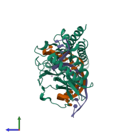 PDB entry 4xr3 coloured by chain, side view.