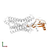 Processed fractalkine in PDB entry 4xt3, assembly 1, front view.