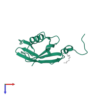 Calcium uniporter protein, mitochondrial in PDB entry 4xtb, assembly 1, top view.