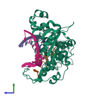 PDB entry 4xus coloured by chain, side view.