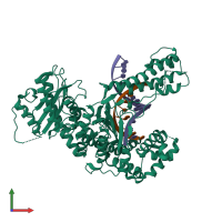 PDB entry 4xvm coloured by chain, front view.