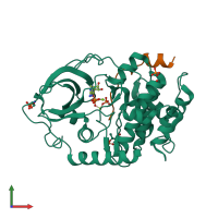 PDB entry 4xw6 coloured by chain, front view.