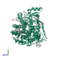 PDB entry 4xwl coloured by chain, side view.