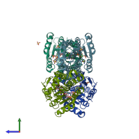 PDB entry 4xwy coloured by chain, side view.
