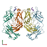 PDB entry 4xxd coloured by chain, front view.