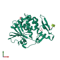 PDB entry 4xy7 coloured by chain, front view.