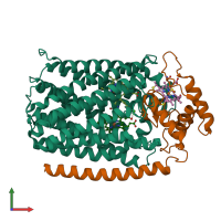 PDB entry 4xyd coloured by chain, front view.