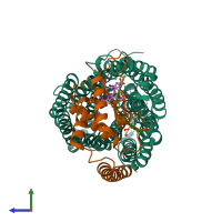 PDB entry 4xyd coloured by chain, side view.