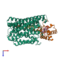 PDB entry 4xyd coloured by chain, top view.