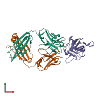 Hetero trimeric assembly 2 of PDB entry 4xzu coloured by chemically distinct molecules, front view.