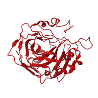 The deposited structure of PDB entry 4y0j contains 1 copy of CATH domain 3.10.200.10 (Carbonic Anhydrase II) in Carbonic anhydrase 2. Showing 1 copy in chain A.
