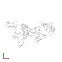 Insulin A chain in PDB entry 4y19, assembly 1, front view.