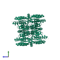 Isopropylmalate dehydrogenase-like domain-containing protein in PDB entry 4y1p, assembly 1, side view.