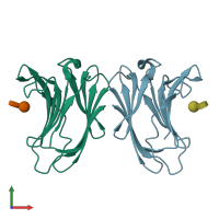 PDB entry 4y26 coloured by chain, front view.