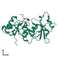 PDB entry 4y2g coloured by chain, front view.