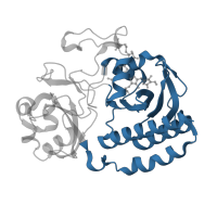 The deposited structure of PDB entry 4y3i contains 1 copy of CATH domain 3.30.450.40 (Beta-Lactamase) in Bacteriophytochrome. Showing 1 copy in chain A.