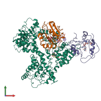 Hetero tetrameric assembly 3 of PDB entry 4y49 coloured by chemically distinct molecules, front view.