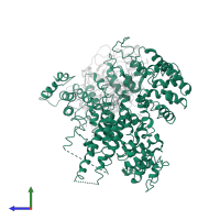 N-terminal acetyltransferase A complex subunit NAT1 in PDB entry 4y49, assembly 1, side view.