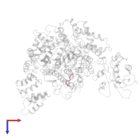 Melanocyte-stimulating hormone alpha in PDB entry 4y49, assembly 1, top view.